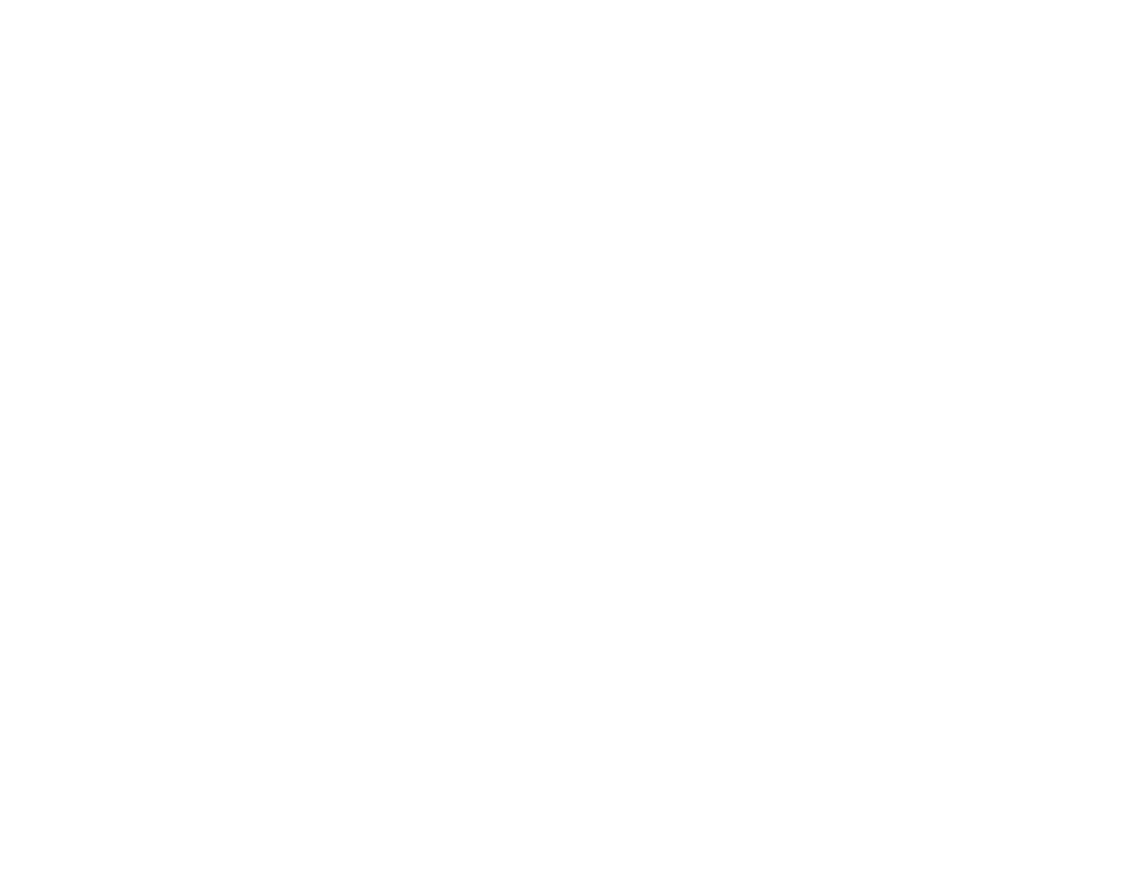 L'art du trait